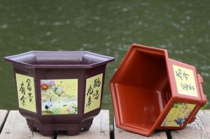 六角花盆的理想花卉选择（种植适宜的花卉，为家庭带来美好生活）