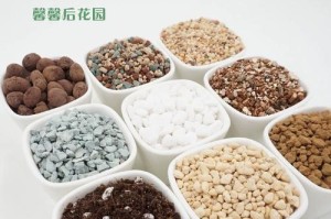泥炭土——多肉植物的理想生长介质（探究泥炭土适合种植多肉的原因及使用方法）