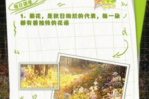 菊花花语的象征与寓意（探寻菊花背后的深刻含义）