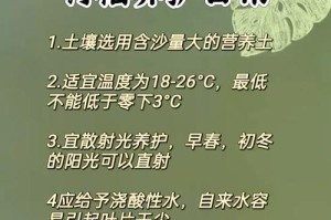 拯救竹柏掉叶子的方法（保护竹柏树的关键措施）
