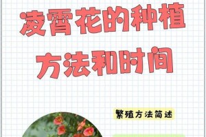 从一根栽下的树枝，见证生命的奇迹（以无限希望之芽，点亮未来的绿色篇章）