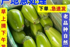 生吃茄子的5大好处（了解生吃茄子的营养价值，享受健康生活）