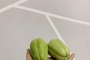 如何种植佛手种子（佛手果种子的选购、催芽、种植、养护、管理及注意事项）