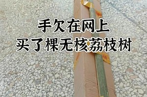 河北种荔枝的可能性（探究河北种植荔枝的可行性及挑战）