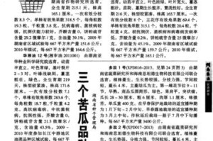 油菜病毒病的防治措施（症状分析与应对方法）