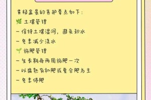 黄杨扦插繁殖方法和注意事项（如何成功扦插黄杨？扦插时需要注意哪些问题？）