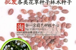 鸡树条荚蒾果实毒性大，小心中毒！（了解鸡树条荚蒾果实的危害，远离中毒风险。）
