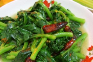 豆腐菜，健康美味的素食佳肴（探寻豆腐菜的口感与制作方法，开启素食美食之旅）