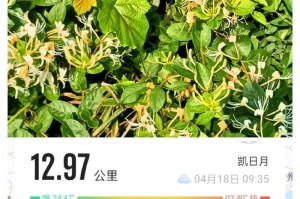 金银花的生长与特性（了解金银花的栽培条件和药用特性）