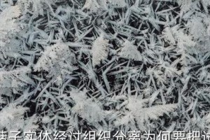 平菇喜欢阳光的原因（探究平菇生长中的光照问题）