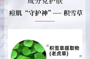 鸡血草的神奇功效与健康作用（来自大自然的医学奇迹，它能帮助我们解决许多健康问题！）