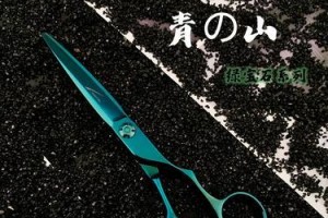 绿宝石修剪指南（打造美丽的绿宝石植株）