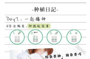 如何种植薄荷种子？（掌握时间与方法，打造自己的薄荷花园）