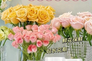 鲜花保存的小技巧（让鲜花更持久、更美丽）